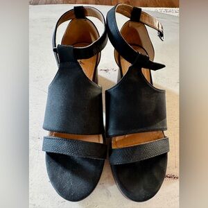 Wonderly Black Ankle-Strap Block Heel Sandals